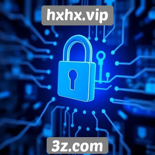 Aspectos de segurança do site hxhx.vip
